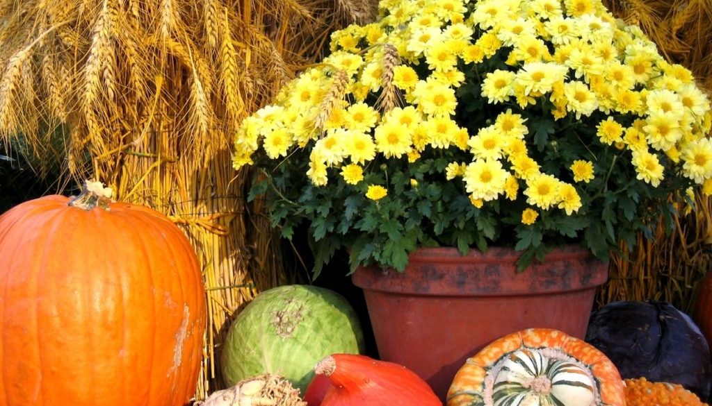 Thanksgiving arrangement