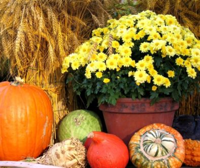 Thanksgiving arrangement